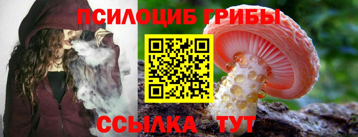 Псилоцибиновые грибы мухоморы Рязань